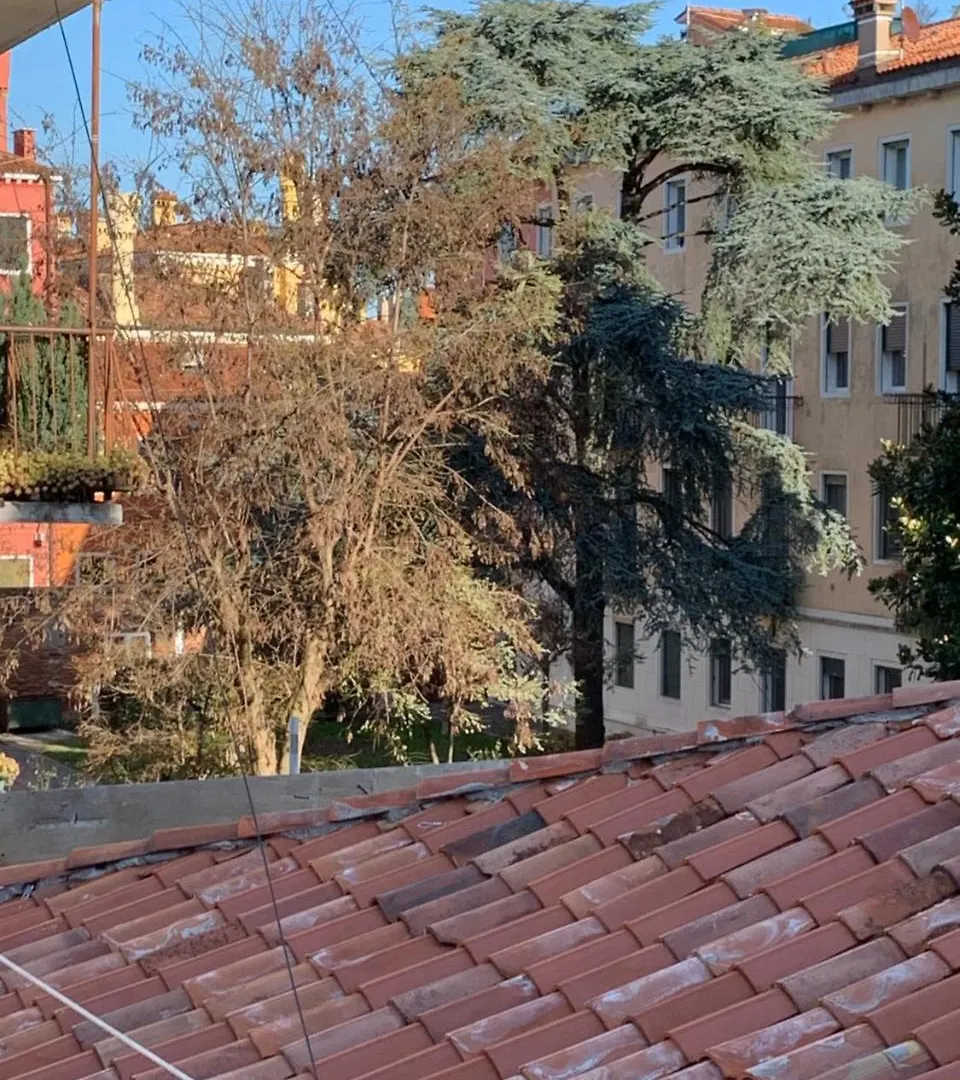 Royal Guest House Velence Apartman